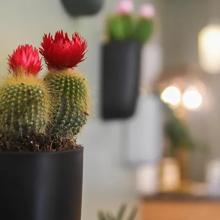 Szálloda Du Palais Centre Bastia