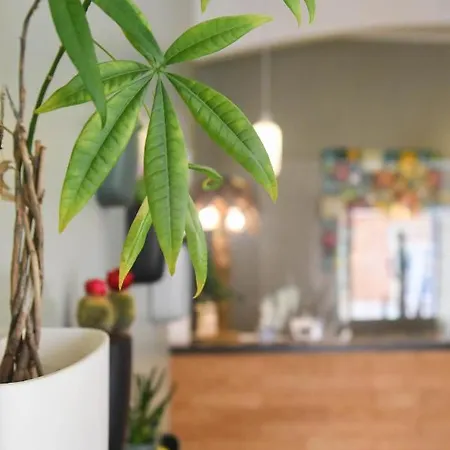 Szálloda Du Palais Centre 2*