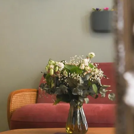 酒店 Du Palais Bastia Centre 巴斯蒂亚