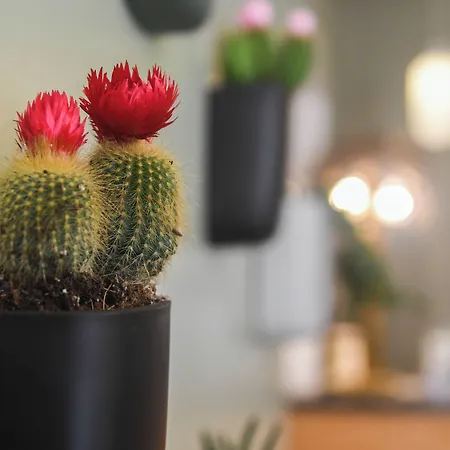 Ξενοδοχείο Du Palais Centre 2*