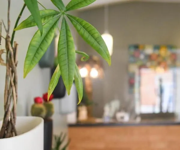 מלון Du Palais Centre 2*