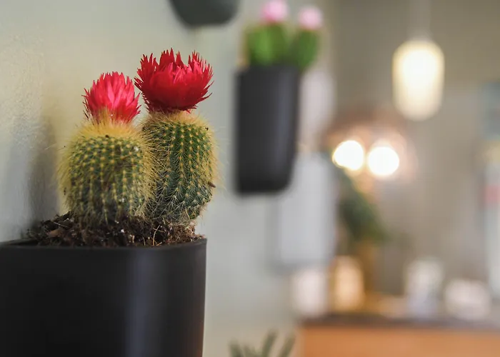 Hotel Du Palais Centre 2*